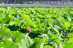 刘祝润谈国奥：很多机会没有把握住，新队员进来我们还需磨合