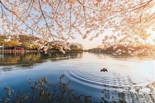 雷竞技最新地址截图1